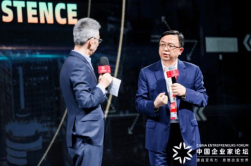 王传福 华为手机是比亚迪造的,雷军造车别亏了钱还浪费了时间